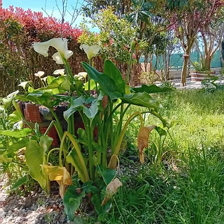 Espectacular Casa Moderna Con Jardín Y Terraza Casa de Férias *